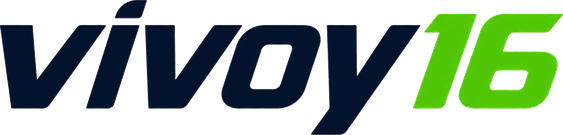 Logo vivoy16